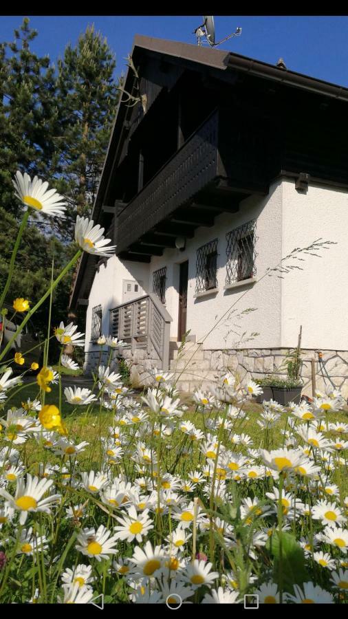 River House Hrib Preddvor Dış mekan fotoğraf